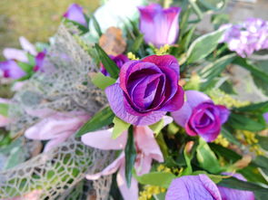 花的雙重性質(zhì) 從自然之美到文化象征